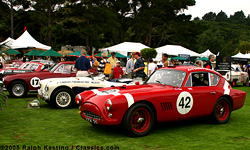 The Quail, A Motorsports Gathering 2005 - A Tribute to the Carrera Panamericana - 1957 AC Aceca Bristol, 1954 Austin-Healey 100
